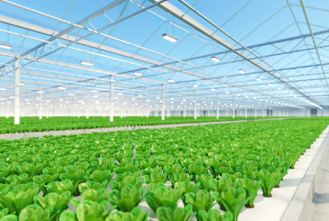 الزراعة الذكية والعضوية